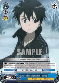 Kirito - Snow Mountain on Floor 55 (TD)