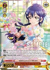 "Guiding Is My Forte" Umi Sonoda (SP)