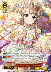 "Full-Bloom Cuteness" Kotori Minami (SP)