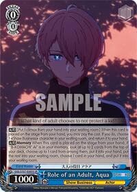 Role of an Adult, Aqua (SR)