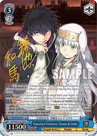Important Existence, Touma & Index (SP)