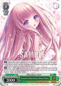 Encounter Where Flowers Bloom, Hinata