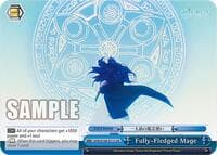 Fully-Fledged Mage
