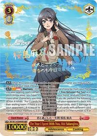 The Year I Spent With You, Mai Sakurajima (ABR)