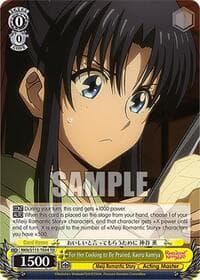 For Her Cooking to Be Praised, Kaoru Kamiya