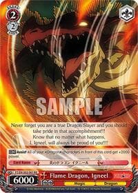 Flame Dragon, Igneel
