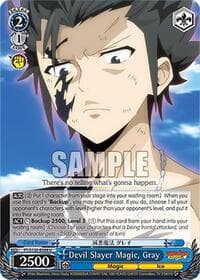 Devil Slayer Magic, Gray