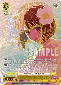 Prelude to Dusk, Kana Arima (PR+)