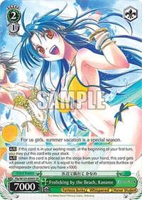 Frolicking by the Beach, Kaname (SR)