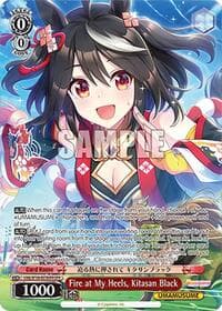 Fire at My Heels, Kitasan Black (OFR)