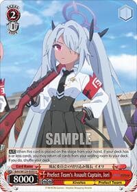 Prefect Team's Assault Captain, Iori
