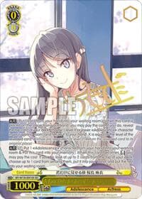A Face Only for You, Mai Sakurajima (SEC)