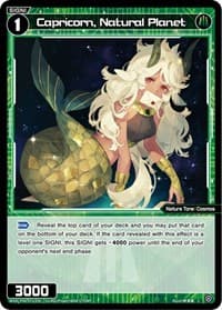 Capricorn, Natural Planet