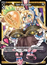 Get Big Bible (Parallel Foil)