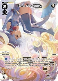 Tama Boundary (Parallel Foil)