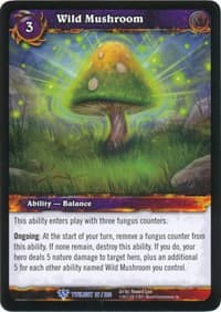 Wild Mushroom
