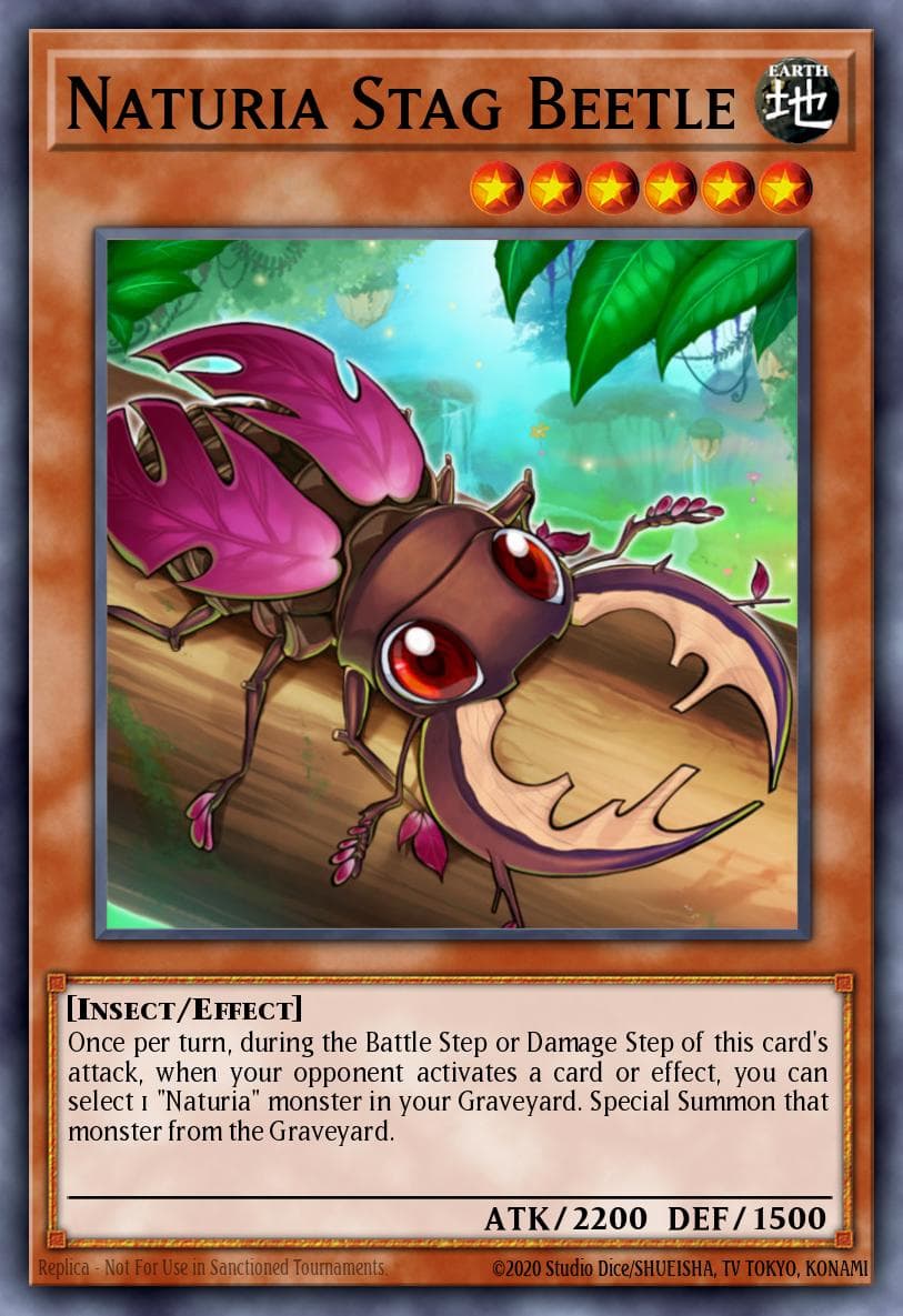 Naturia Stag Beetle