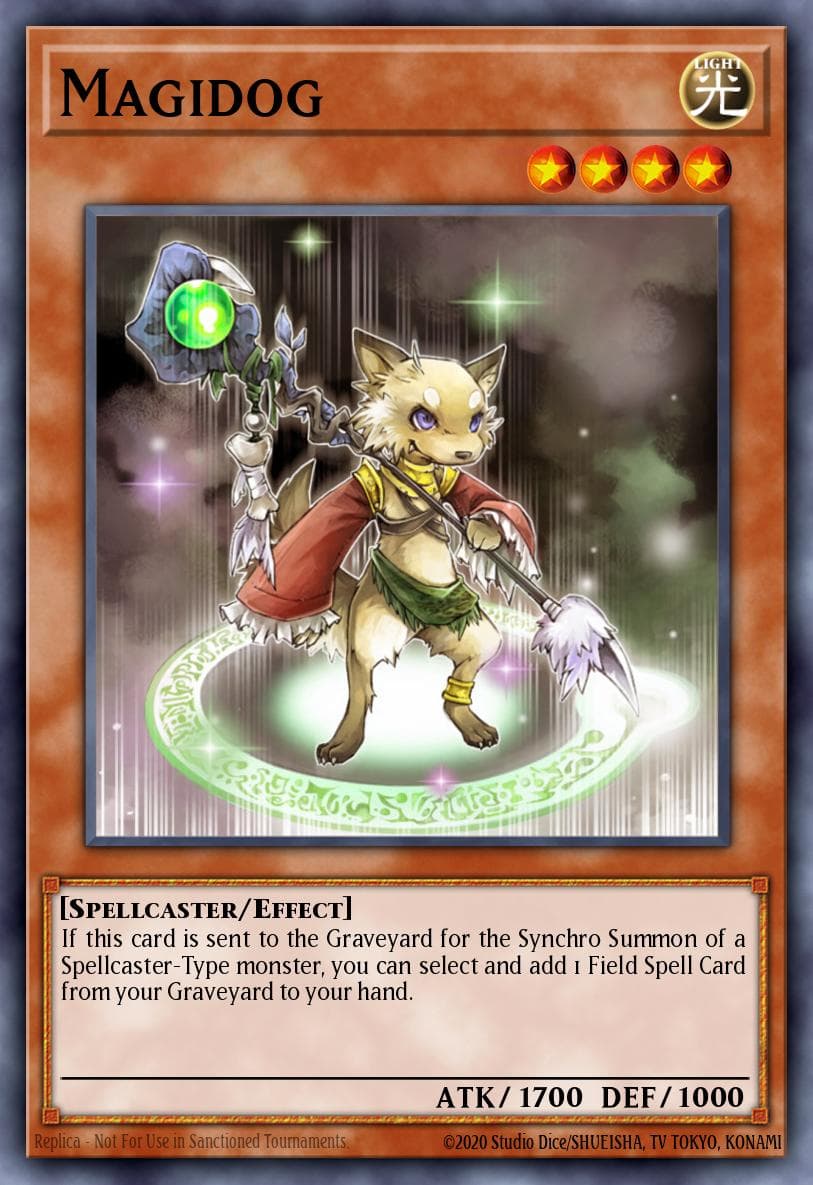 Magidog