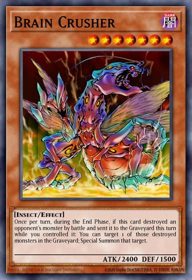 Brain Crusher