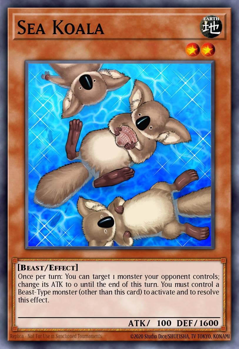 Sea Koala