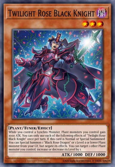 Twilight Rose Black Knight