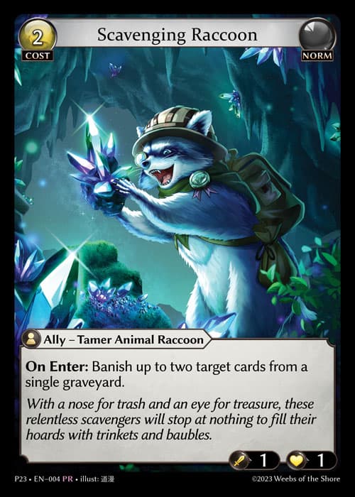 Scavenging Raccoon