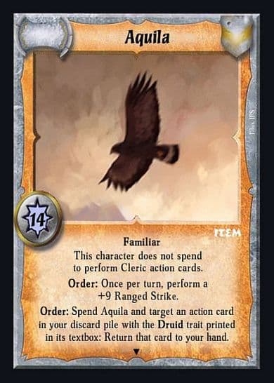 Aquila