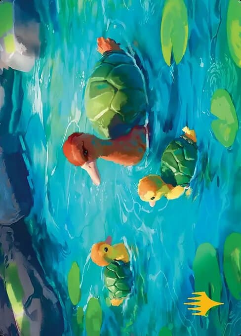 Turtle-Duck // Turtle-Duck