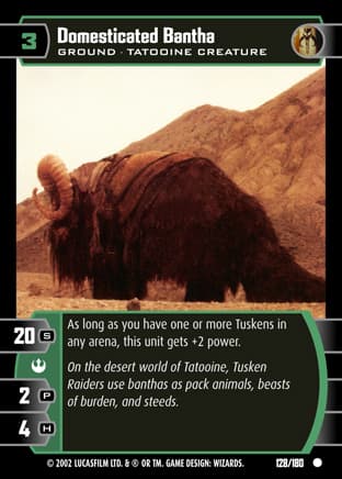 Domesticated Bantha