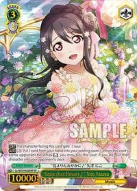 "Grace Over Flowers" Nico Yazawa (SP)